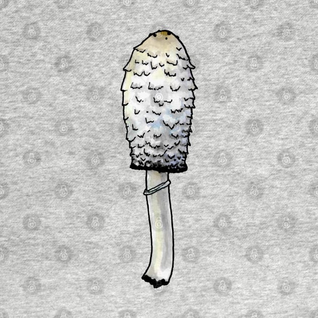 Shaggy Mane by ThisIsNotAnImageOfLoss